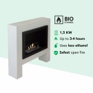 Xaralyn Bolea  Elpeis eller Bioethanol thumbnail