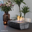 Xaralyn Woody bioetanol bordpeis thumbnail